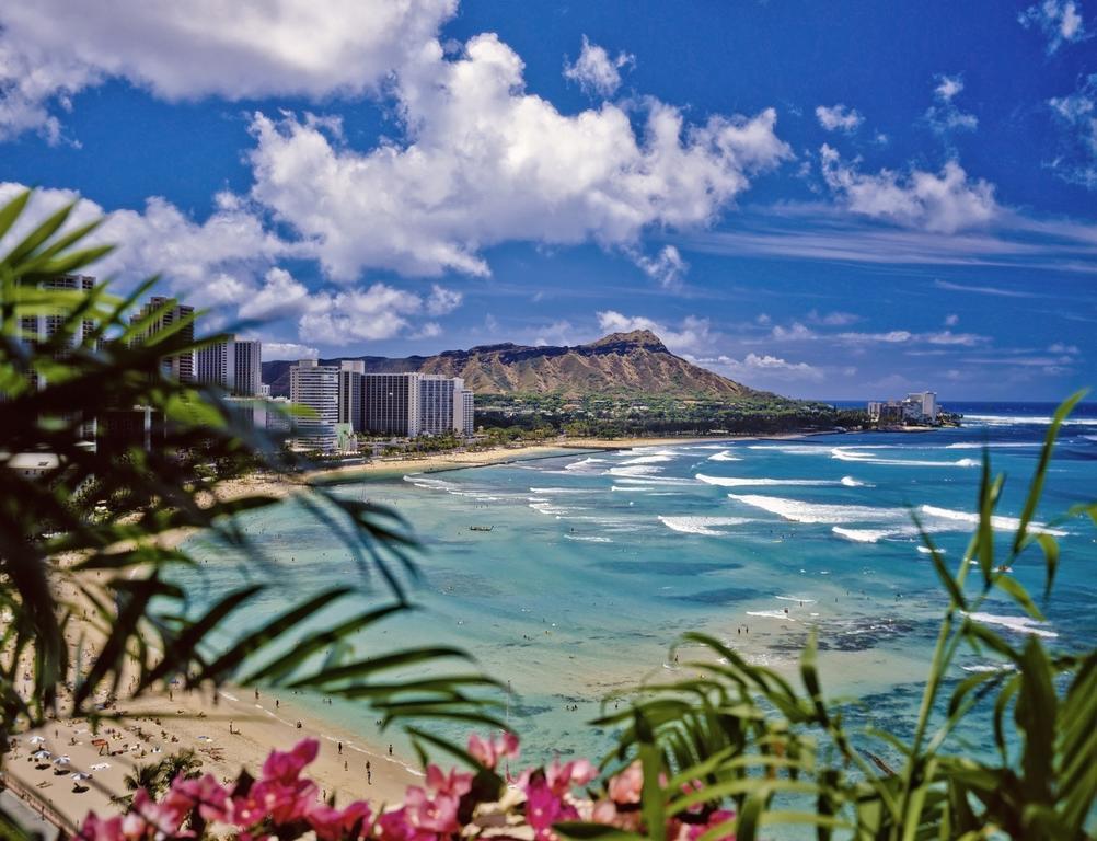 Mountain Views & Steps To Beach - Free Parking! Honolulu Eksteriør billede